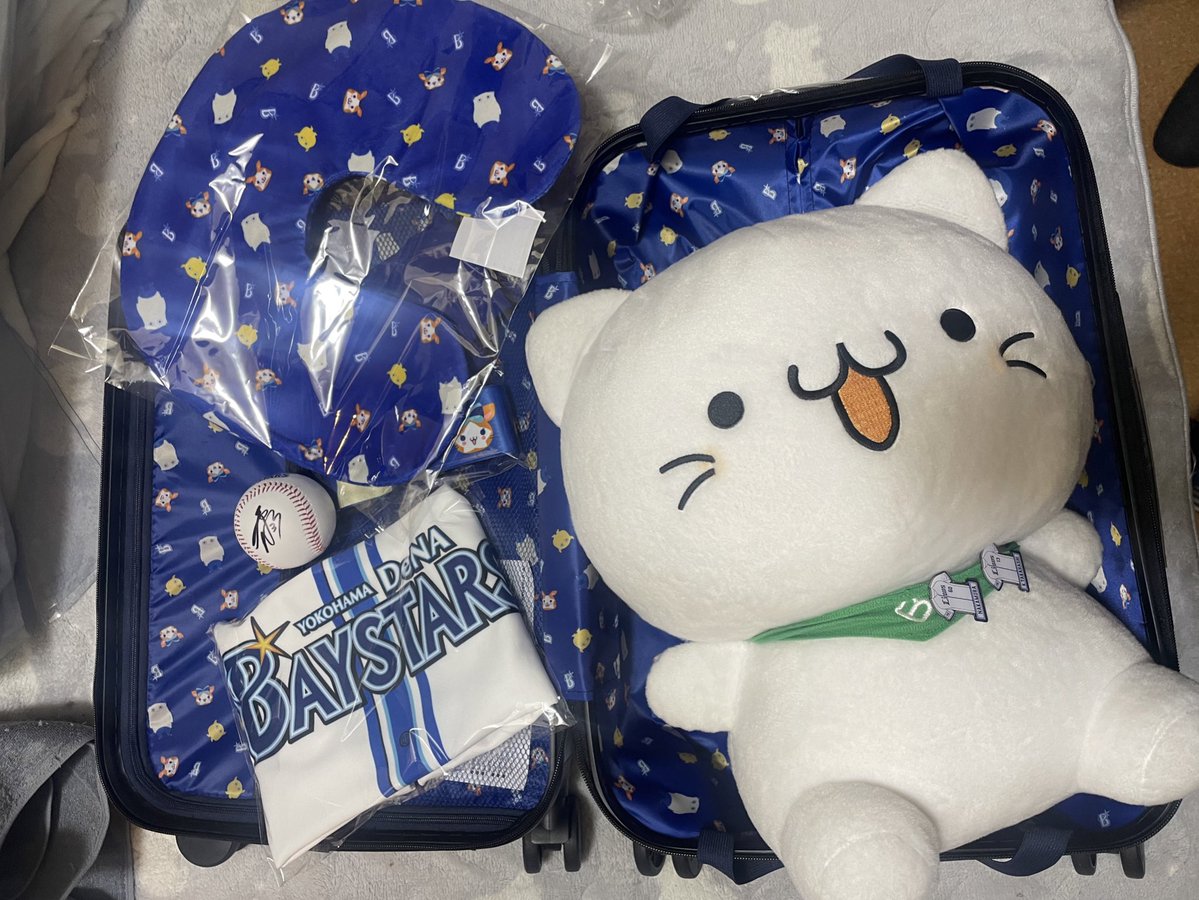 横浜DeNAベイスターズ福袋[2026]の中身をネタバレします！