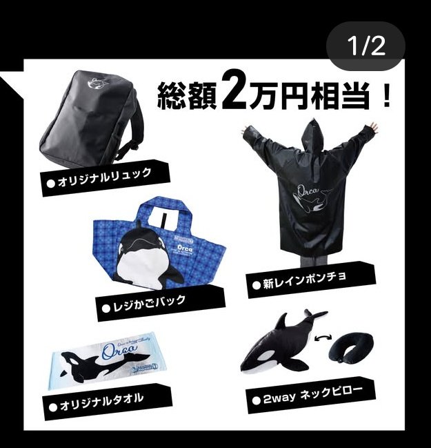 鴨川シーワールド福袋[2026]の中身をネタバレします！🐬✨海の魅力が