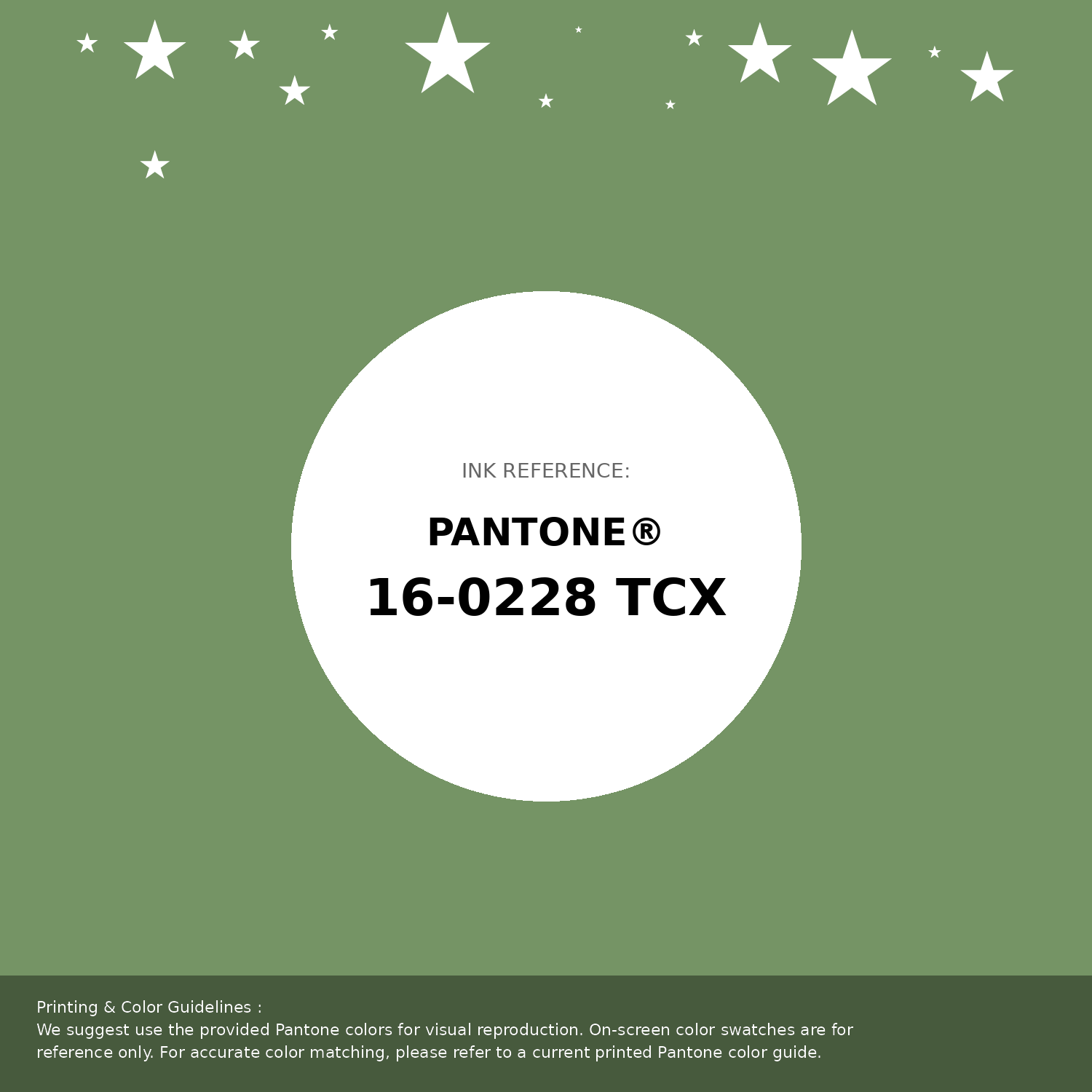 Hex Color #759465 | Printing Match PANTONE 16-0228 TCX | Color