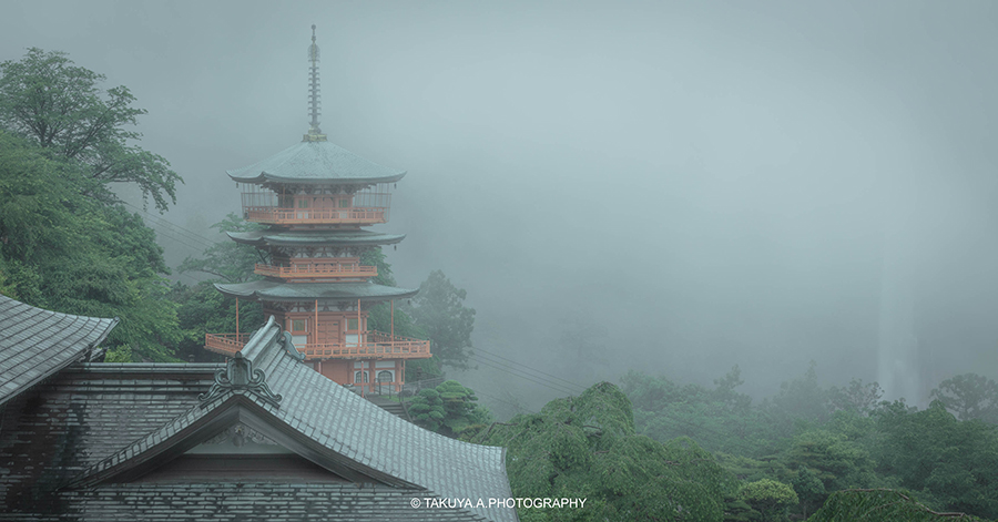 和歌山県の絶景】熊野那智大社の新緑撮影記－和歌山県が誇る日本三名爆