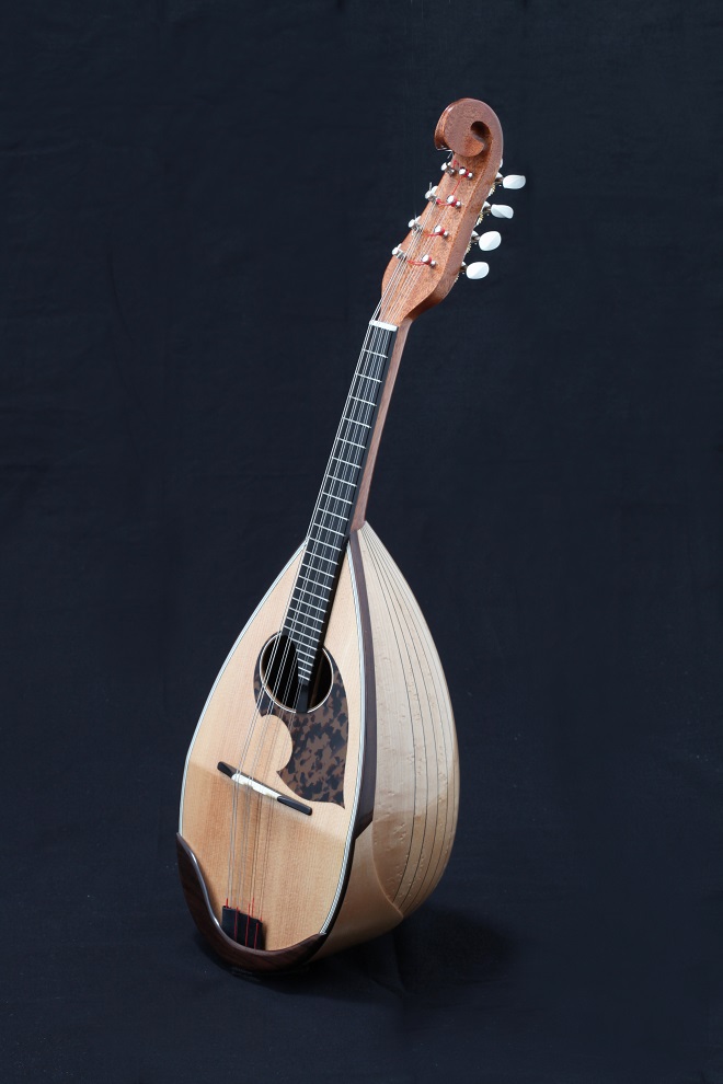 野口マンドリン | 絃楽器のイグチ