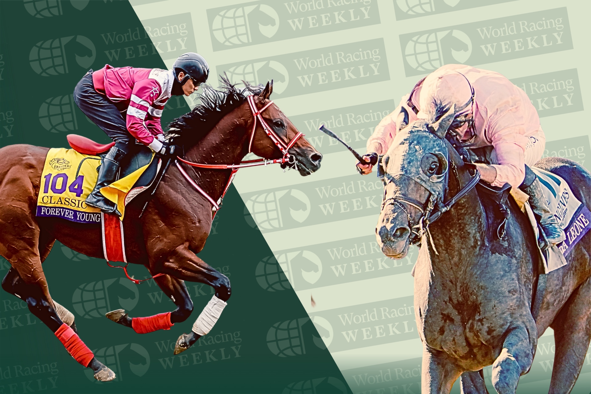 フォーエバーヤング BCクラシック2025 現地単勝馬券&レーシング