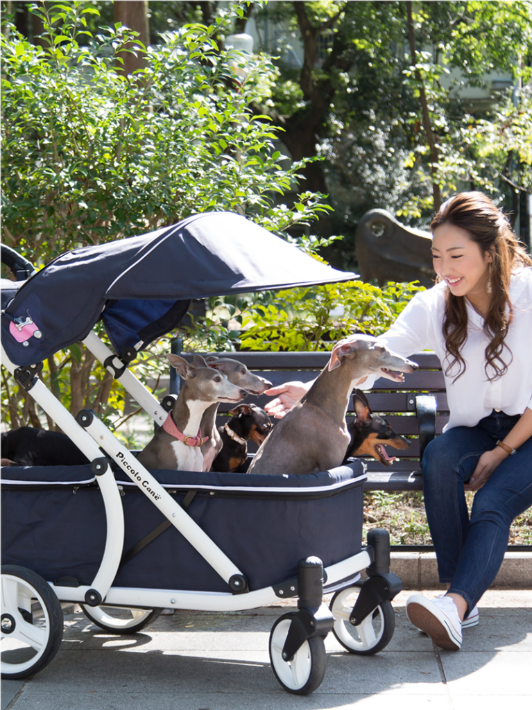 大型犬・多頭飼いのためのペットカート【ピッコロカーネCREA（クレア