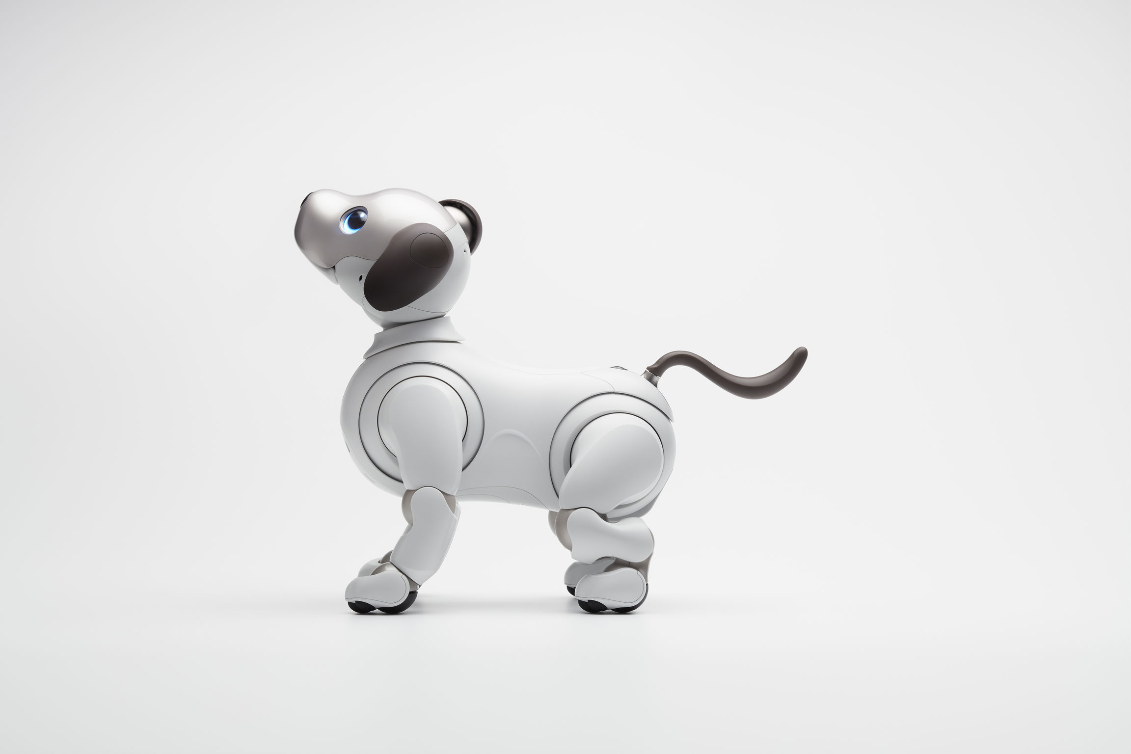SONY 新型AIBO ERS-1000 アイボ aibo ERS-1000 Sony aibo Companion