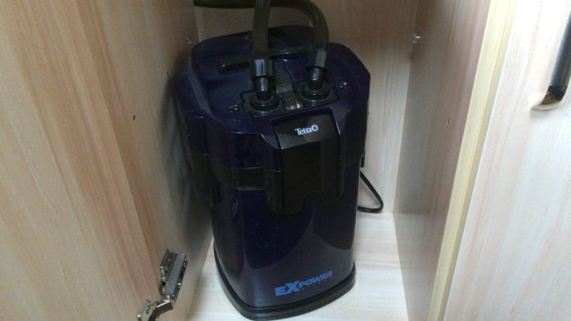テトラVX-75外部フィルターのレビュー！60cm水槽に最適なコスト