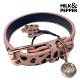 i-glow｜アイ グロー【ドッグファッション・セレクトストア】