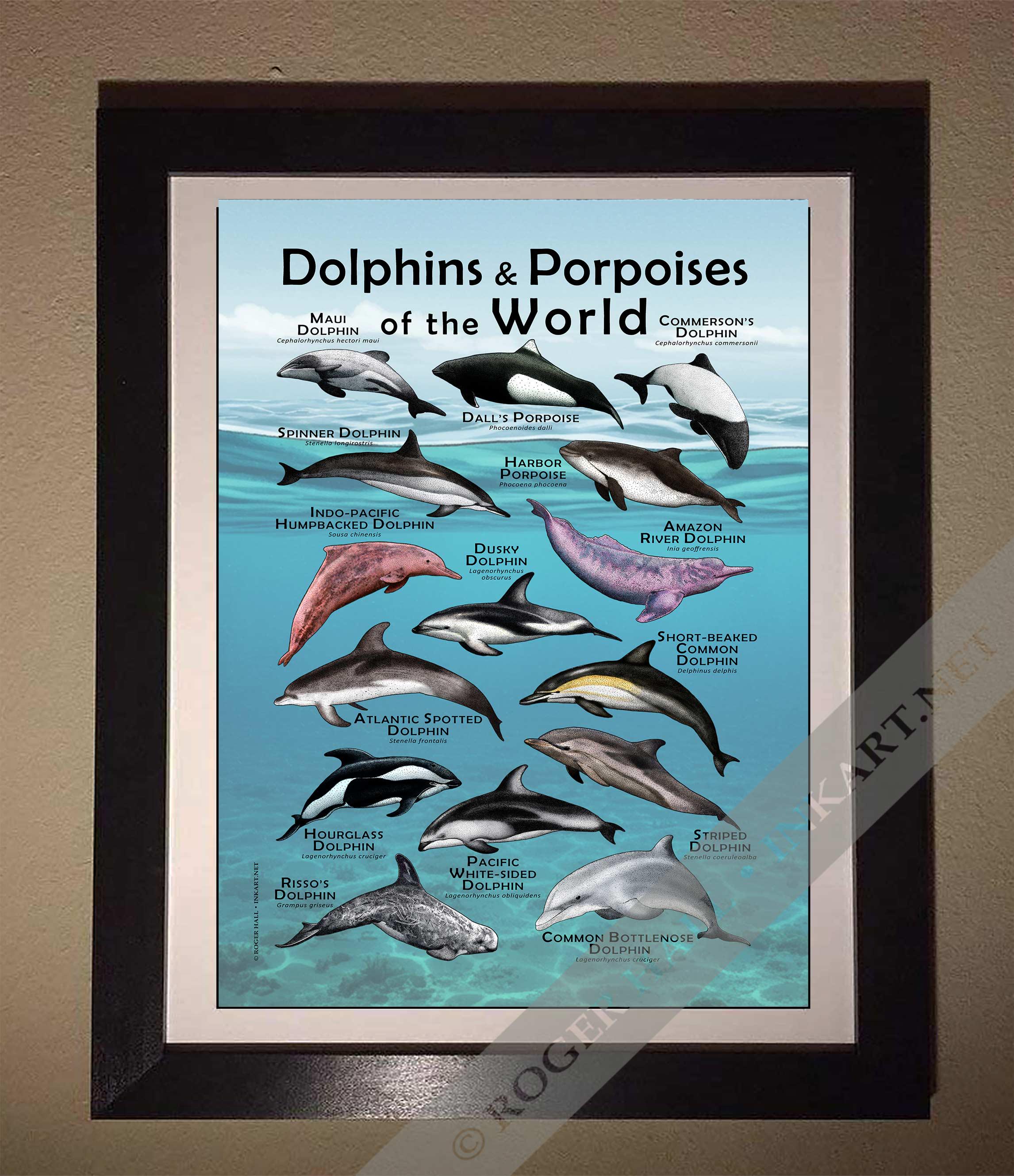 世界のイルカとネズミイルカのポスター - アーティストのサイン入り