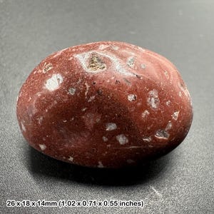 Gastroliths - Etsy 日本