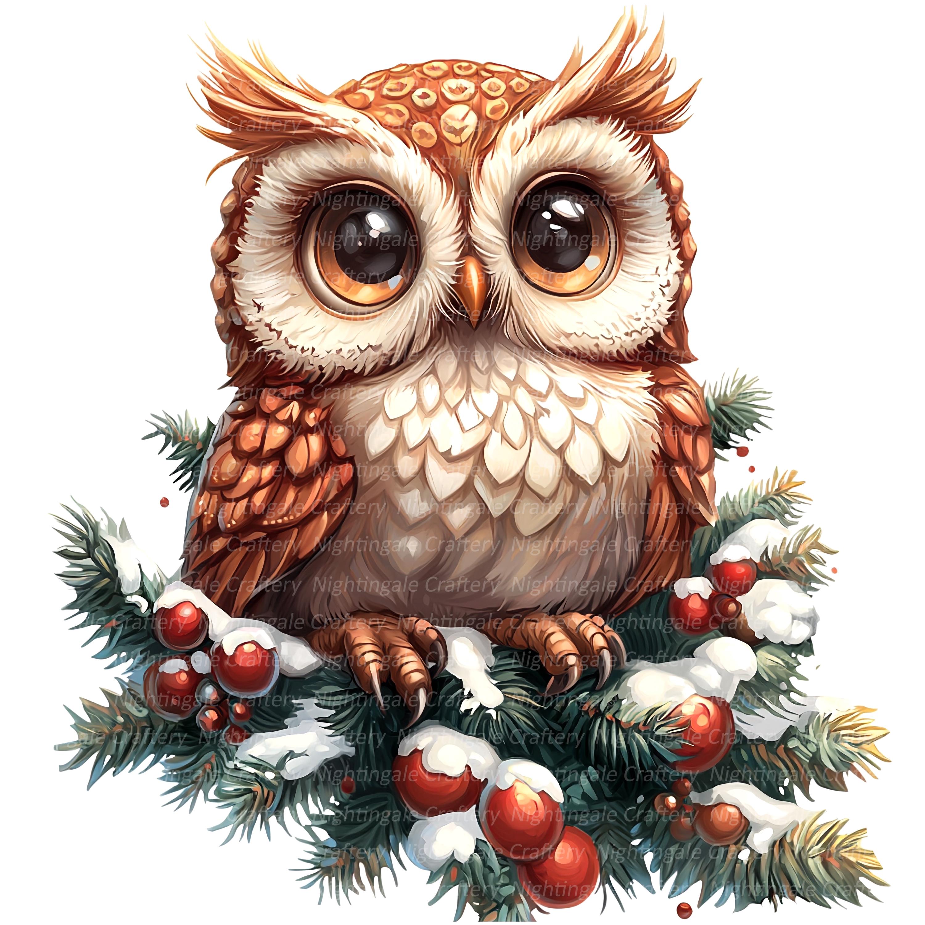 11 クリスマス フクロウ クリップアート、クリスマス カード、印刷可能