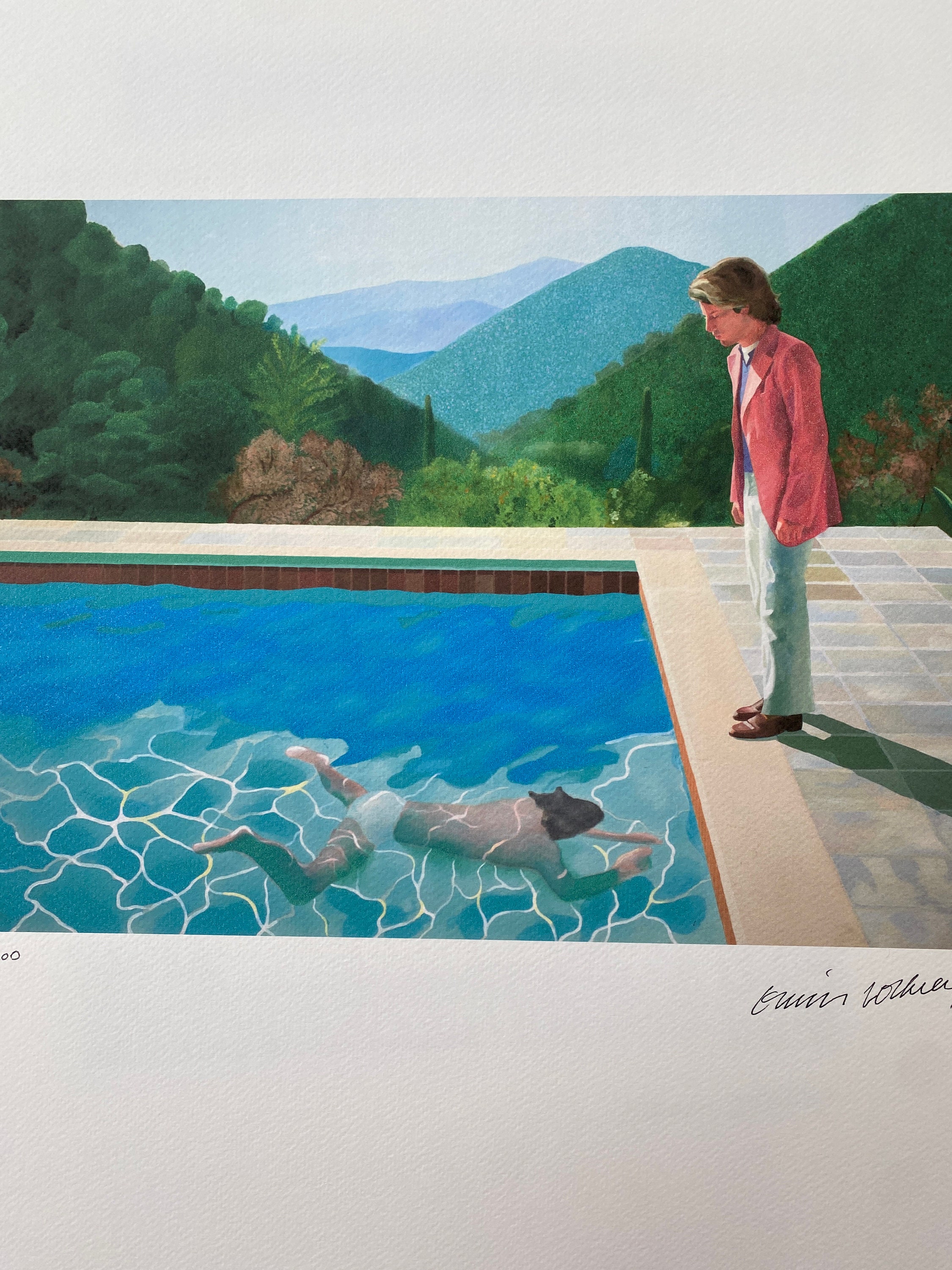 ペーパープール/デビット ホックニー/アートポスター 貴重/額装品