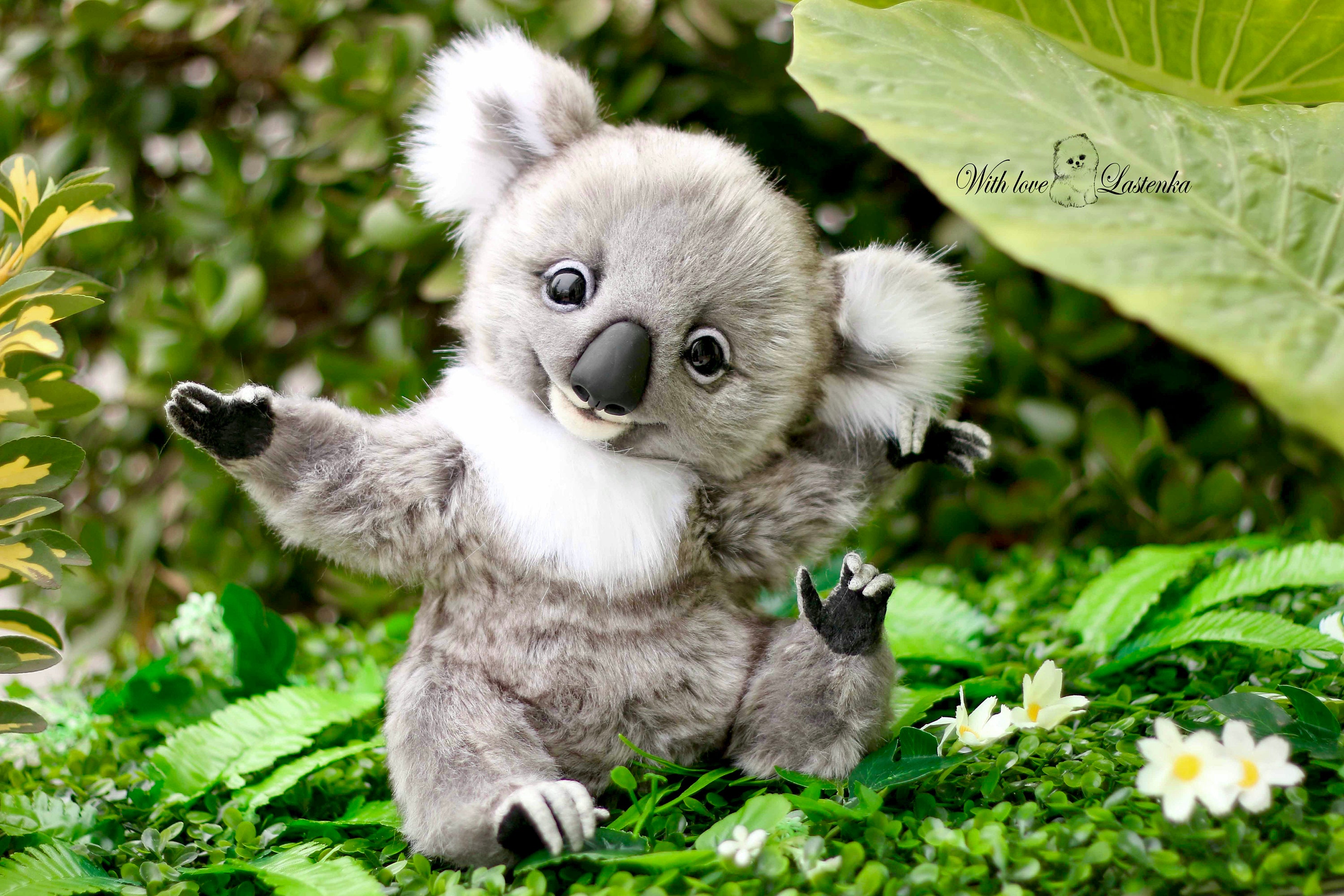 リアルなテディ コアラ エクリプス OOAK コレクター向けアーティスト