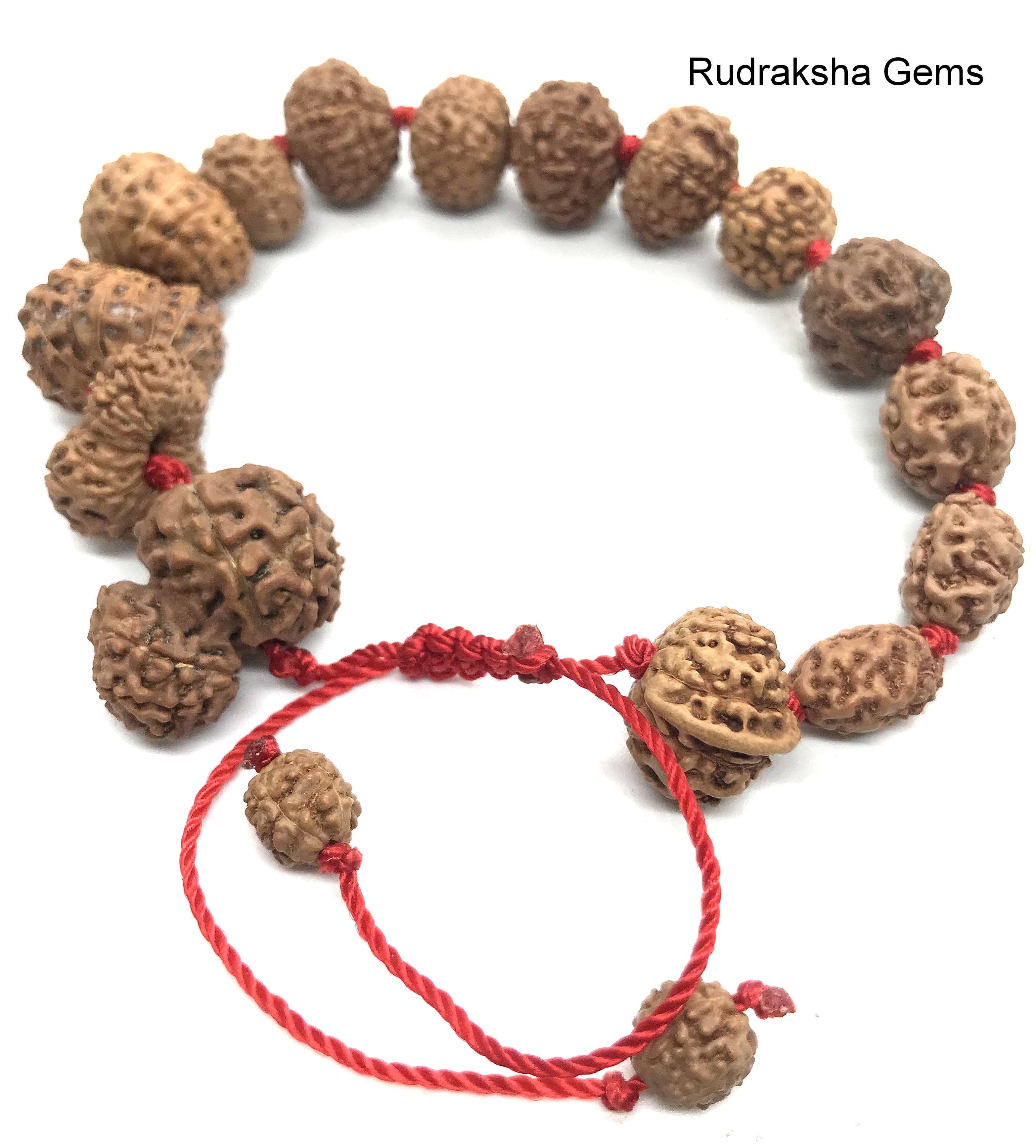 ルドラクシャマーラー トップ ガウリシャンカール 14ムキ ②