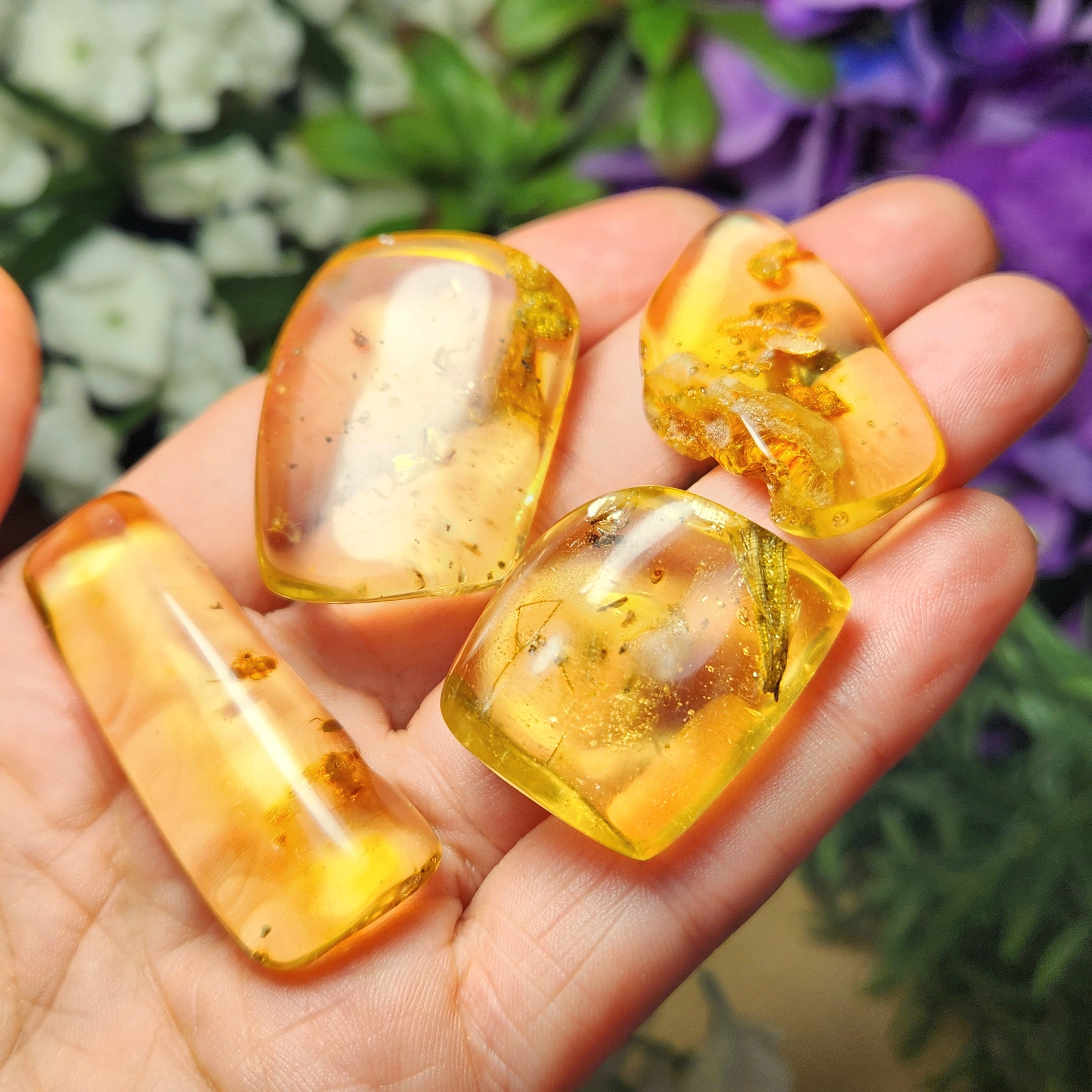 オーストラリア産】ゴキブリ入り！天然琥珀(アンバー)