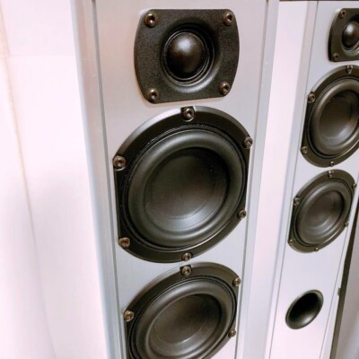 Piega ピエガ TS5 Piega Swiss Made Luxury Tallboy Speaker TS5 Pair