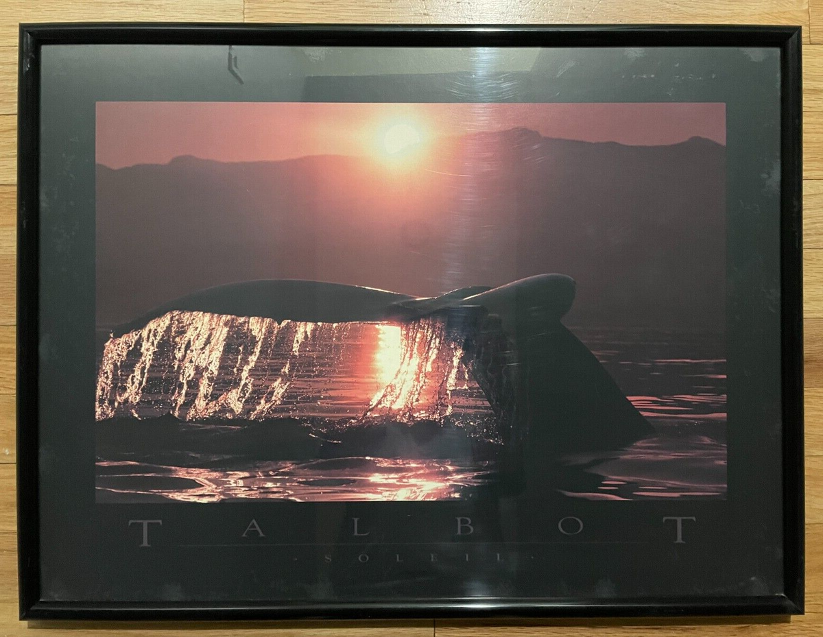 Bob Talbot 80s vintage poster 11種セット Bob Talbot 80s vintage