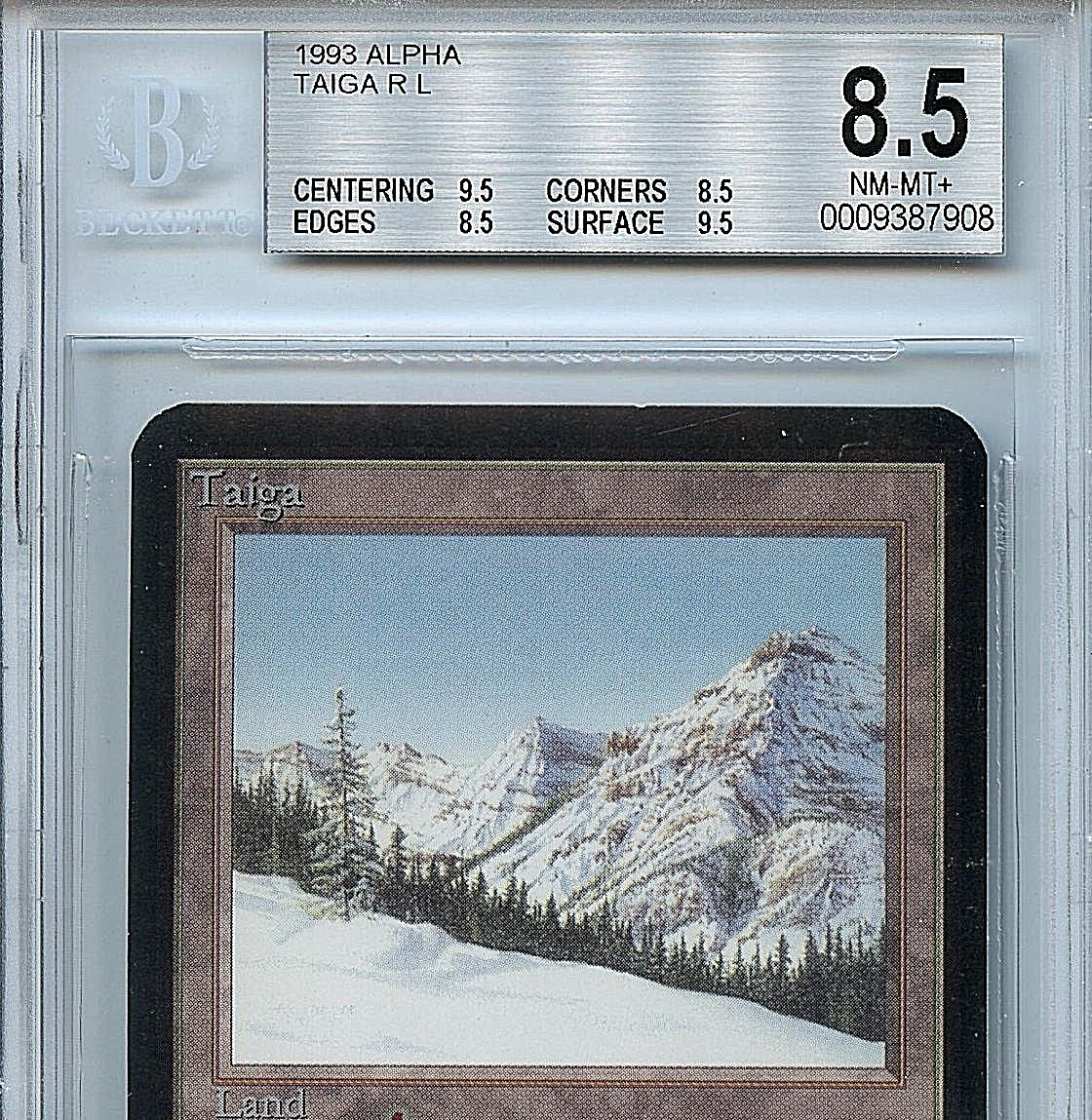 MTG Taiga 英語 デュアルランド 【公式通販】