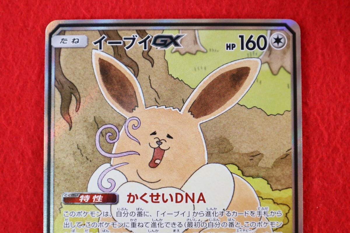 イーブイ GX ポルトガル語版 海外版 SA プロモ Eevee 正規 イーブイ GX