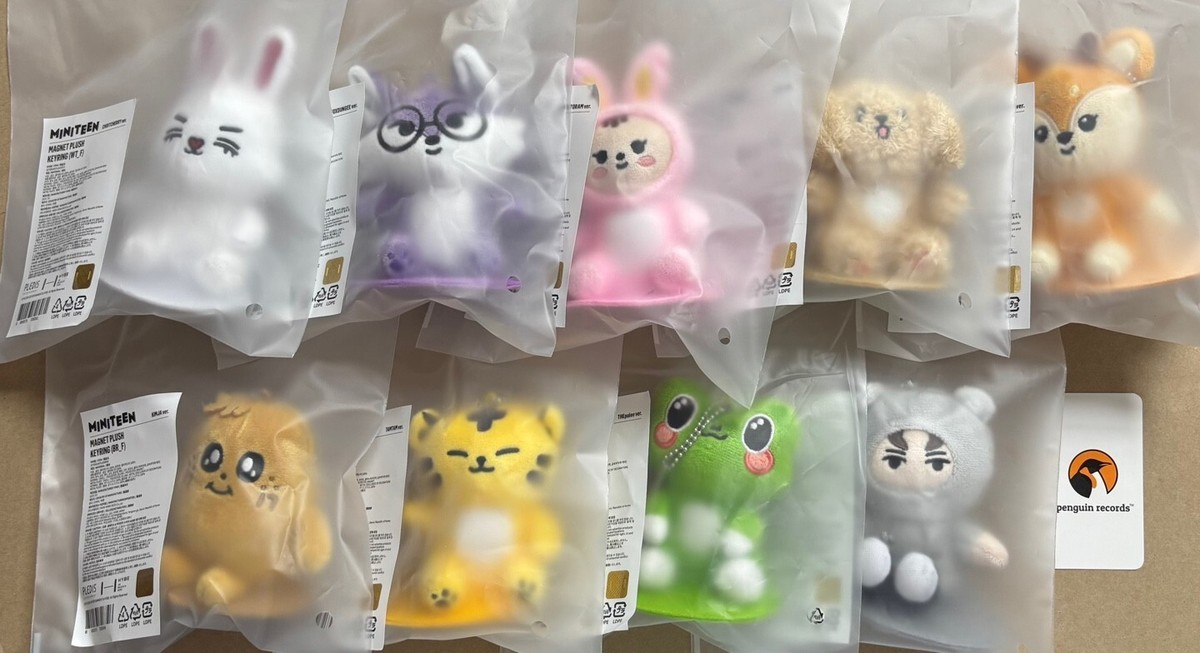 MINITEEN スングァン マグネットキーホルダー スングァン ミニティーン