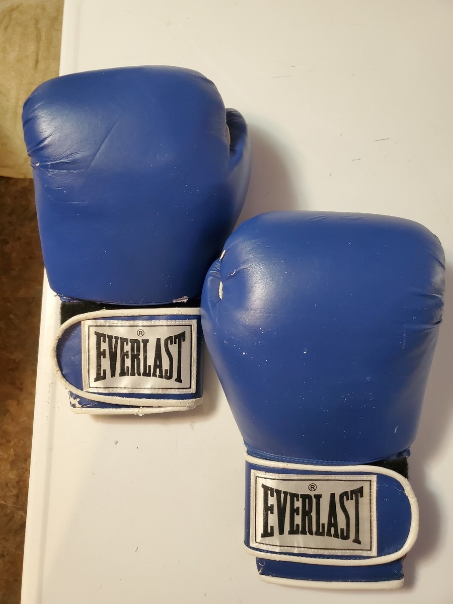 EVERLAST ボクシンググローブ 青 16オンス Everlast Blue Pro Style
