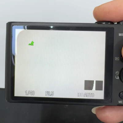 Sony Cyber-shot DSC-WX350 Digital Camera 18.2MP 20x Optical Zoom