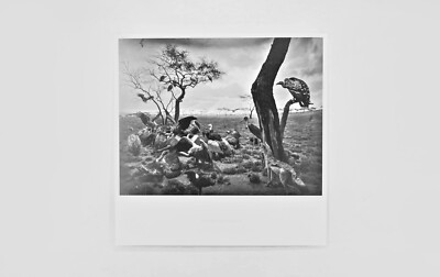 杉本博司 ポスター Hyena-Jackal-Vulture HIROSHI SUGIMOTO (B. 1948
