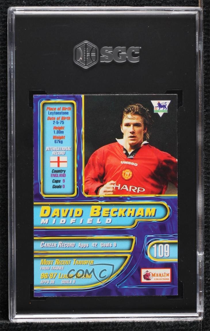 Merlin's Premier Gold Beckhamベッカム