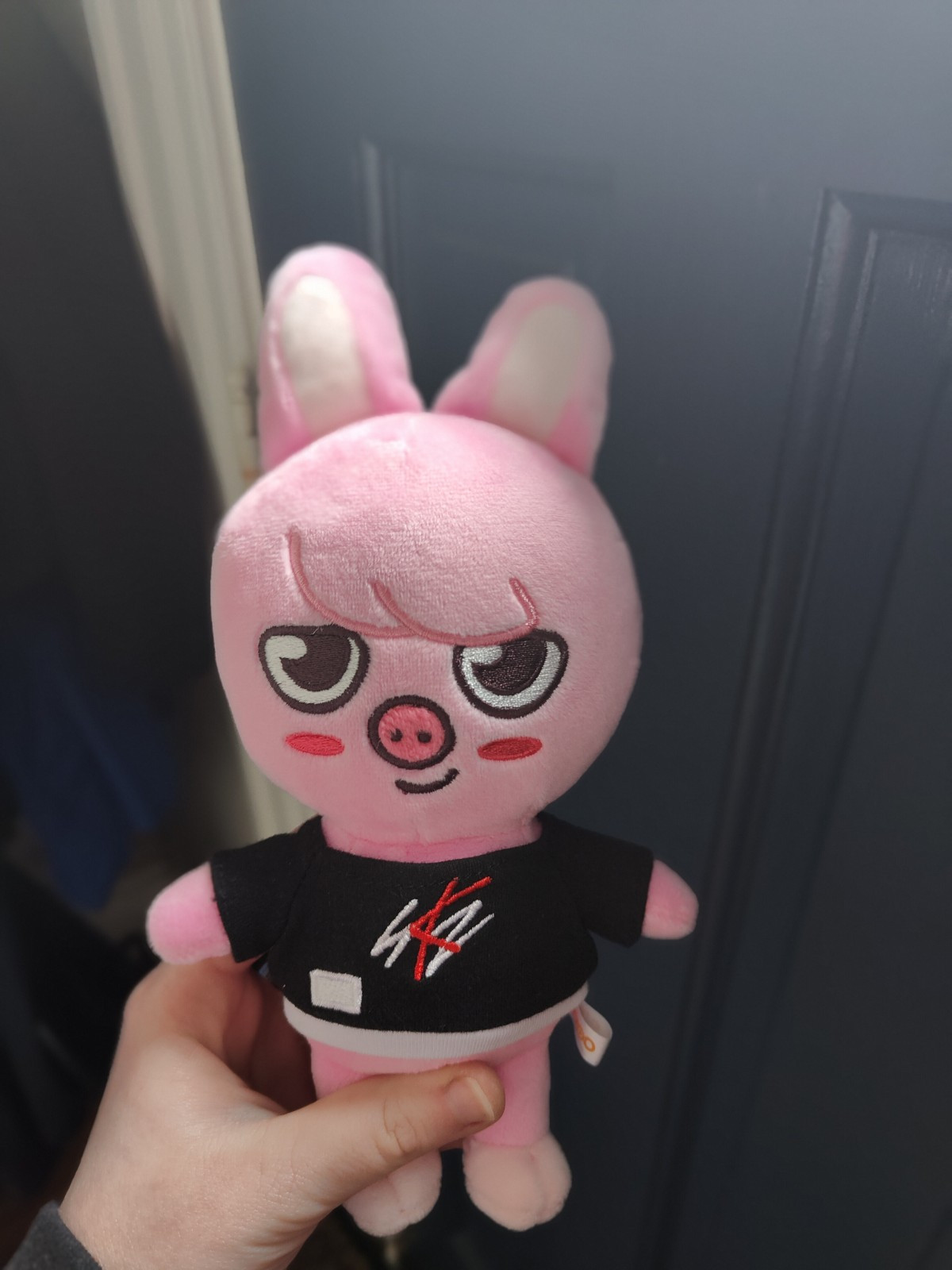 SKZOO】テディベア トェッキ straykids Stray Kids - StrayKids