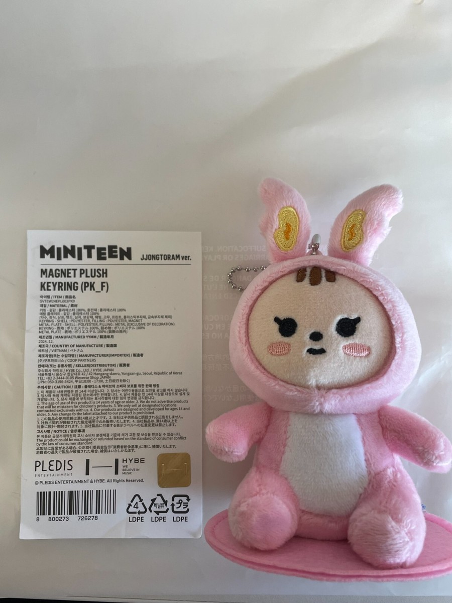 SEVENTEEN miniteen マグネットキーリング ミンギュ KIMJA MINITEEN