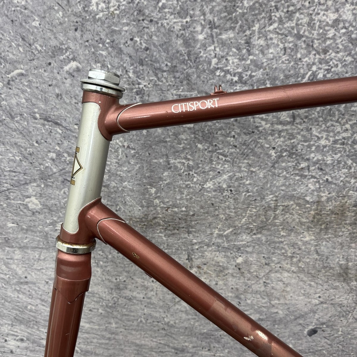 Vintage Nishiki CitiSport 26 in Frame 56cm Steel Cruiser 4130 CRMO