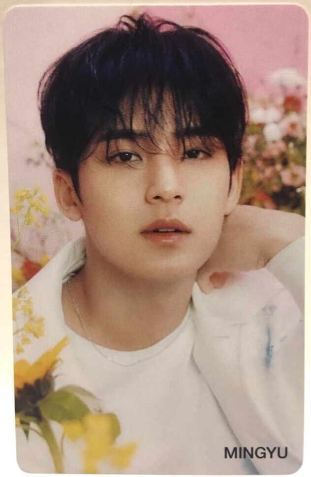 SEVENTEEN セブチ ALWAYS YOURS ラキドロ ジョンハン SEVENTEEN JAPAN