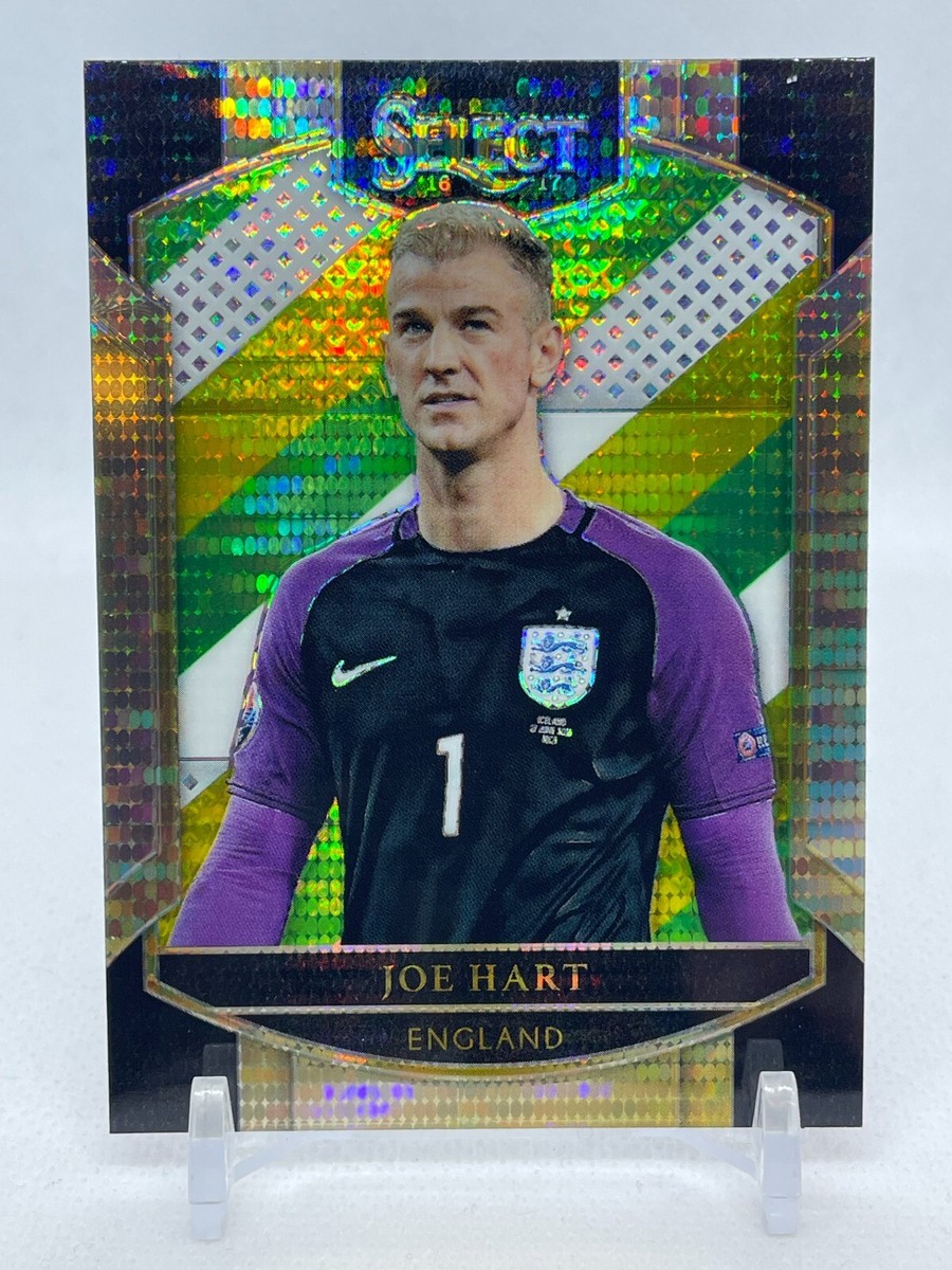 その他 panini noir Joe Hart その他 panini noir Joe Hart その他