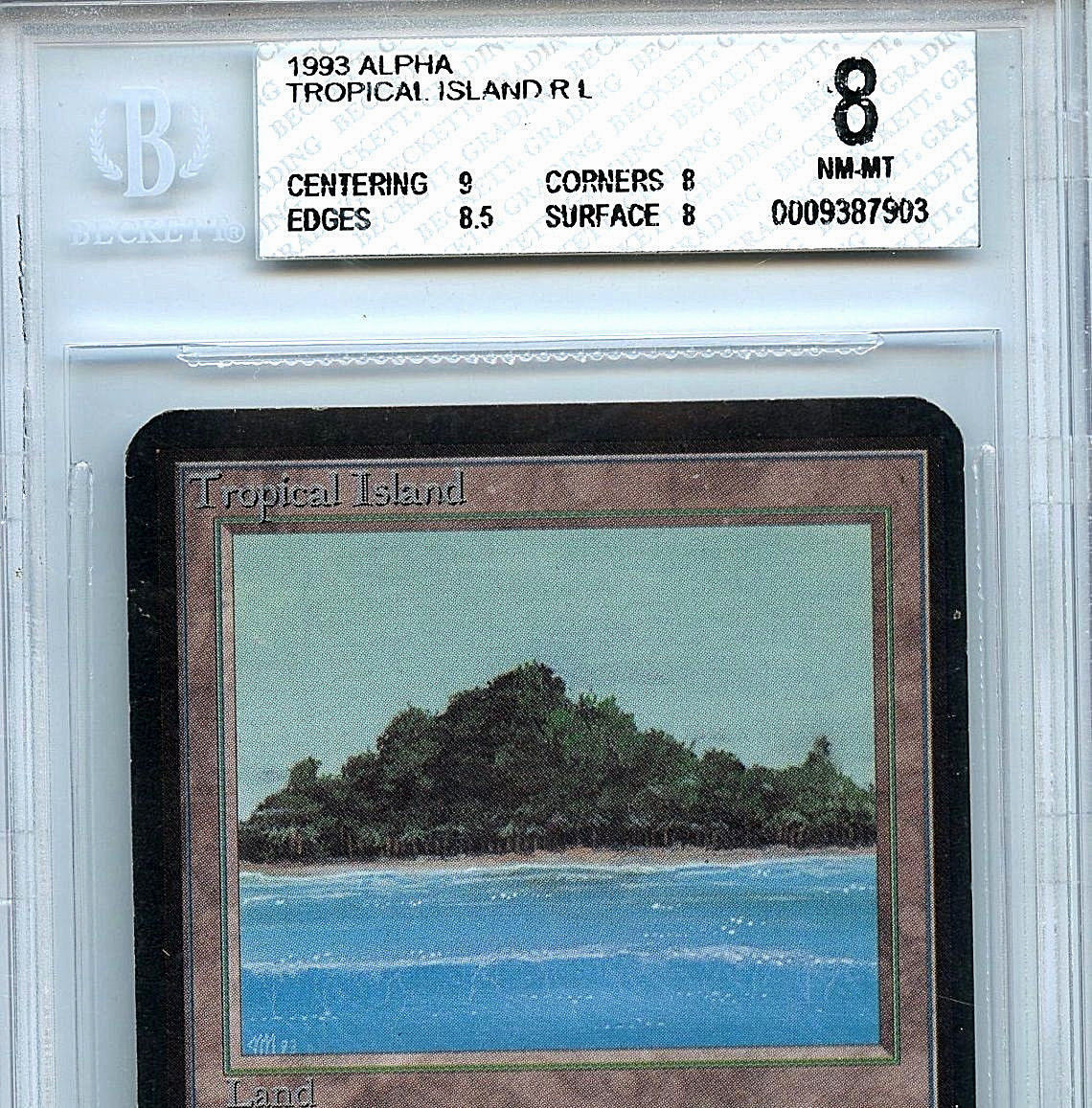 マジック：ザ・ギャザリング Tropical 2ED マジック：ザ・ギャザリング