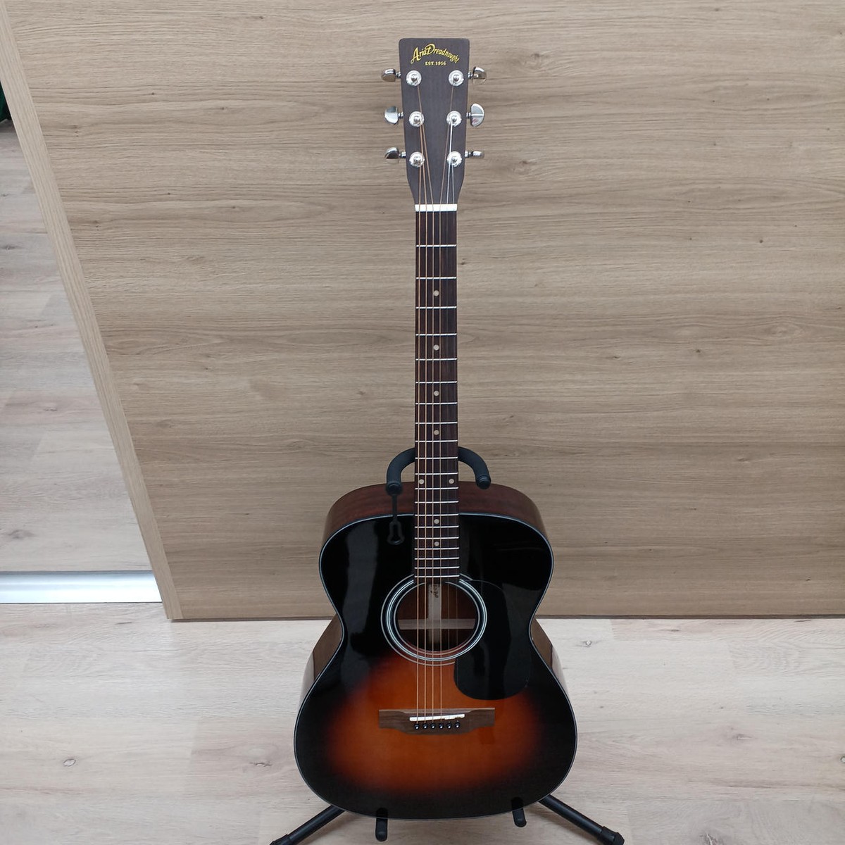 Aria Dreadnought アコースティックギター セットAF-25N Aria