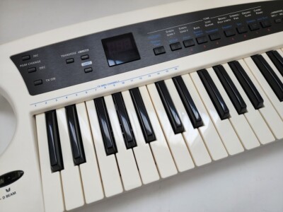 Roland AX Synth Keyboard Synthesizer white | eBay