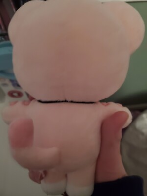 IVE Minive Plush Doll - Leeseo Erang-e | eBay