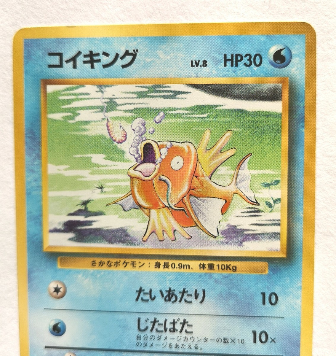 PSA10】Magikarp コイキング シャドーレス 英語版 英語版初期Magikarp