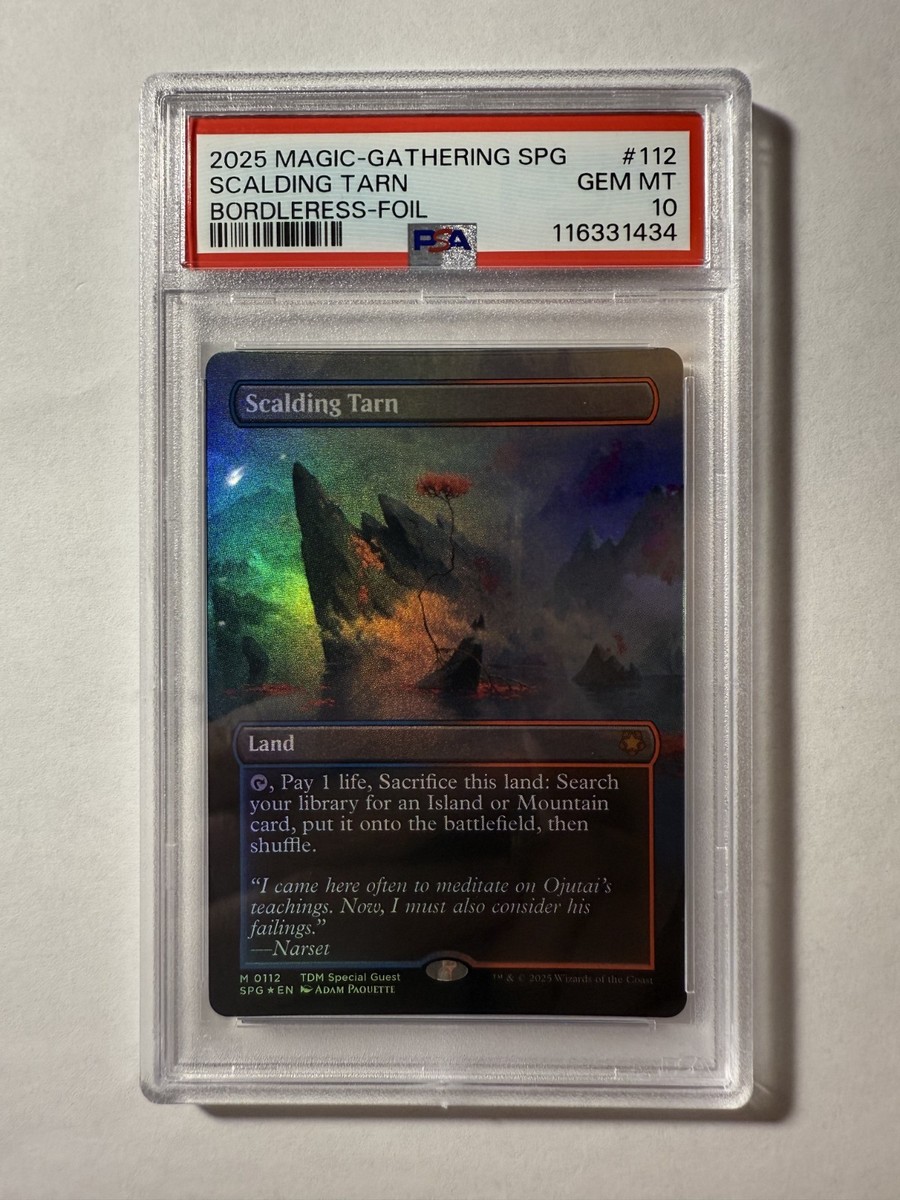 MTG 沸騰する小湖 旧枠 英語 二枚セット MTG 沸騰する小湖 旧枠 英語