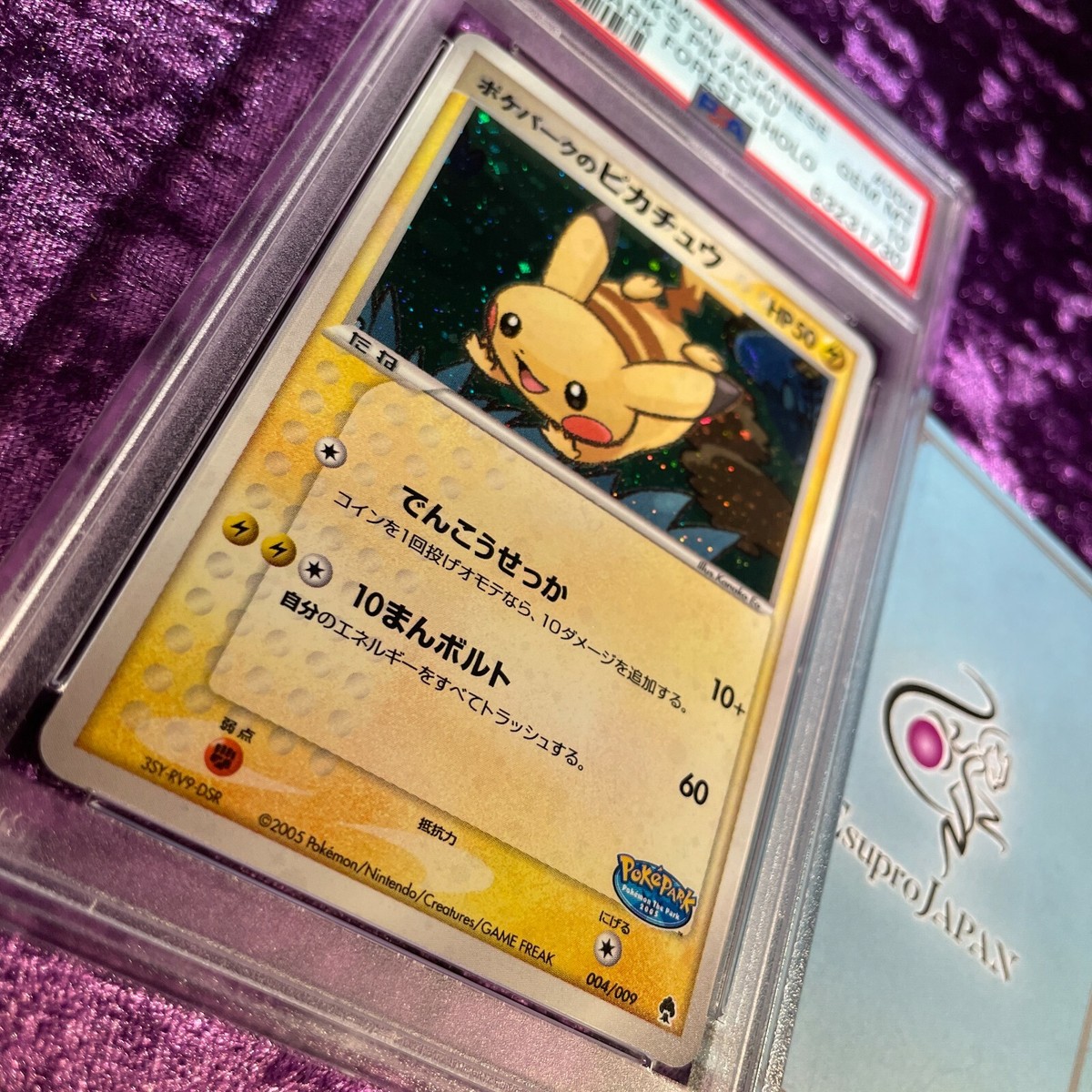 ポケパークのピカチュウ ポケパークプレミアムファイル 004/009