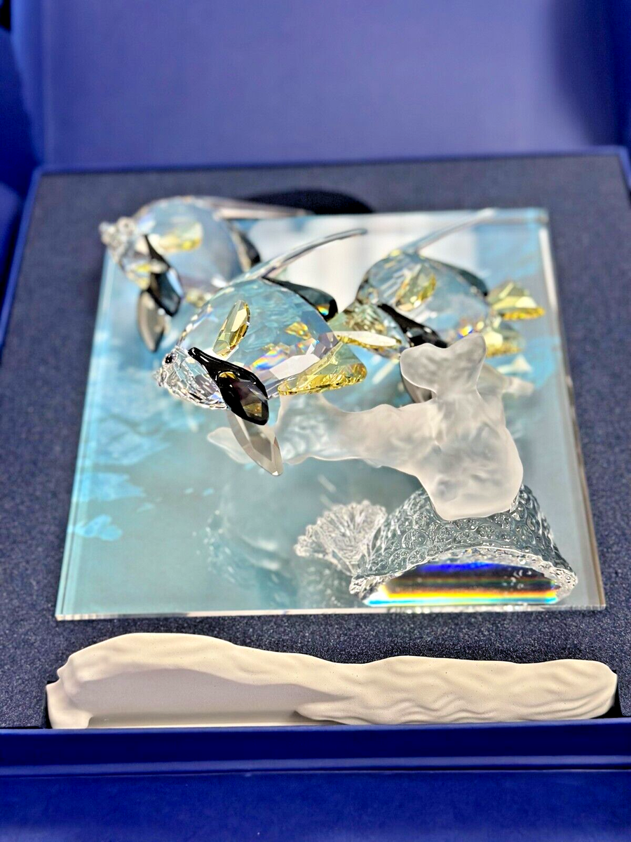 SCS会員限定品】スワロフスキー ワンダーオブザシー エタニティ SCS