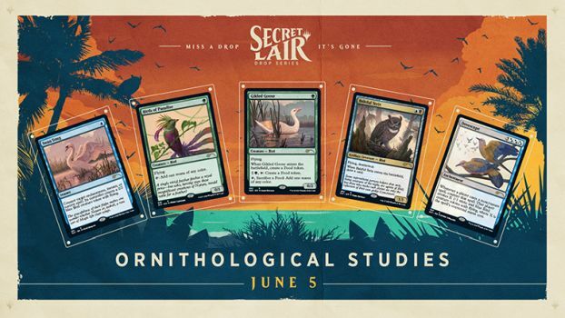 1x Secret Lair: Drop Series: Ornithological Studies New Sealed