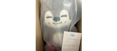 スキズ バンチャン ウルフチャン skzoo テディベア ぬいぐるみ G921