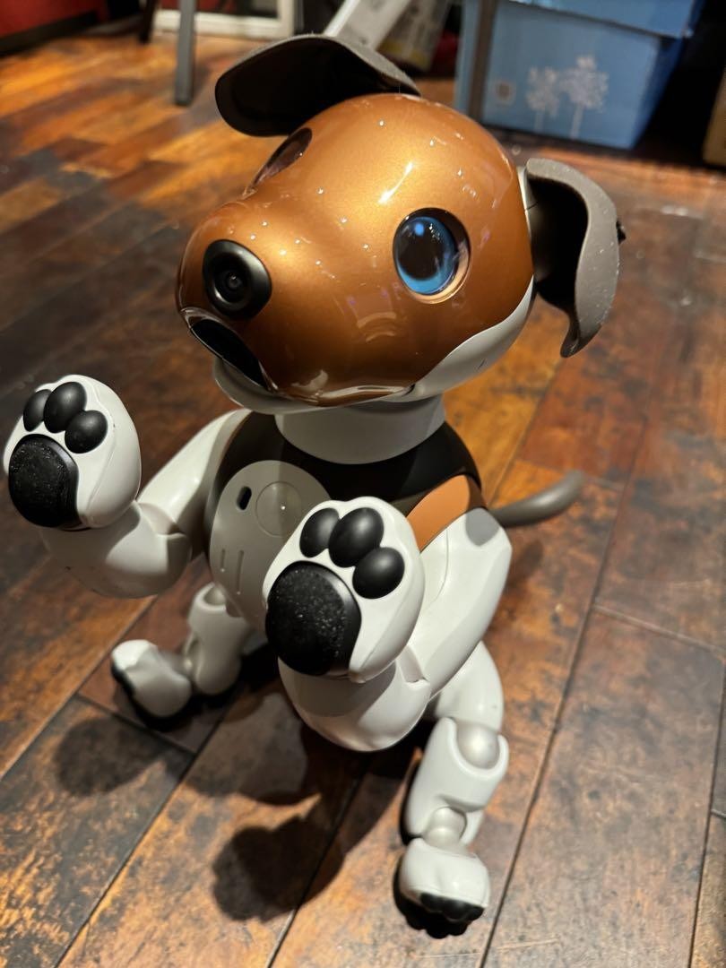 SONY aibo(チョコエディション) 本体 (付属品あり) なちゅら】⭐︎希少