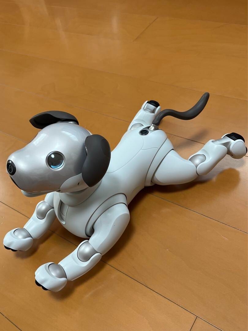 aibo アイボ ERS-1000 ロボット犬 Sony AIBO ERS-1000 Entertainment