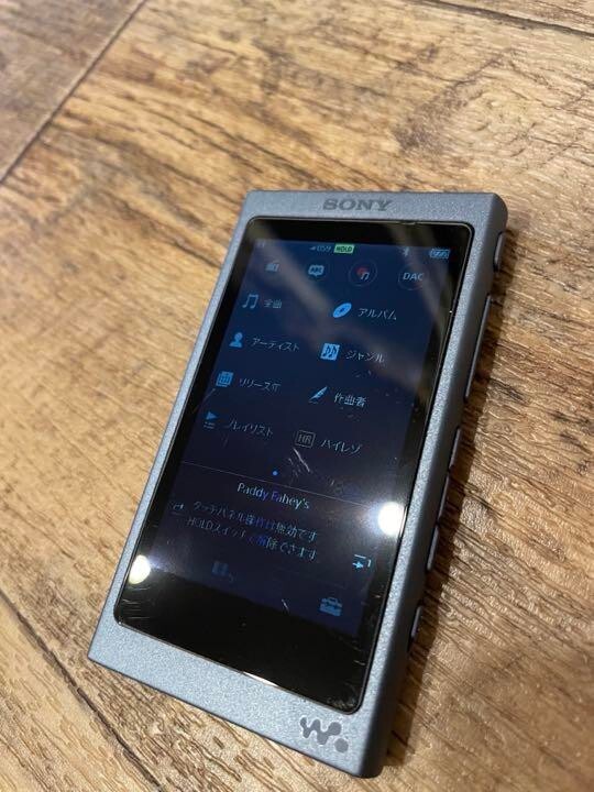 SONY NW-A45 Digital Audio Player DAP Walkman 16GB Grayish Black