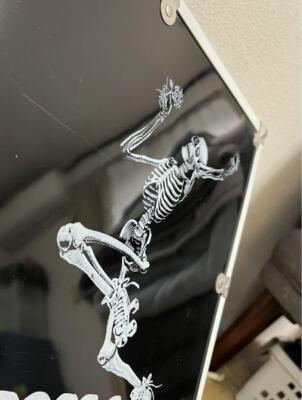 skateboard Vintage 80's Powell Roller Bones Roller Skate Case | eBay