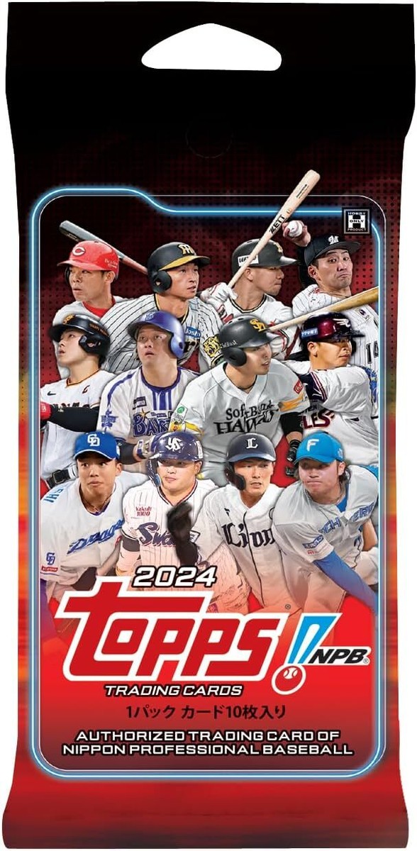 NPB Chrome トレーディングカード 24パックセット×10箱 NPB Chrome