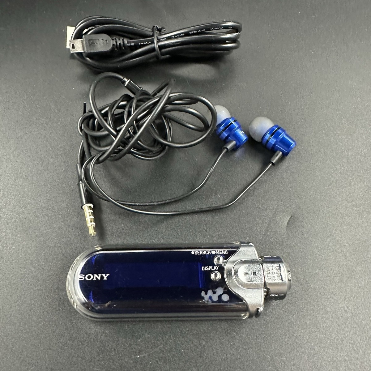 NW-E407 SONY Net Work Walkman MP3 Player 1GB Blue Fully Working | eBay