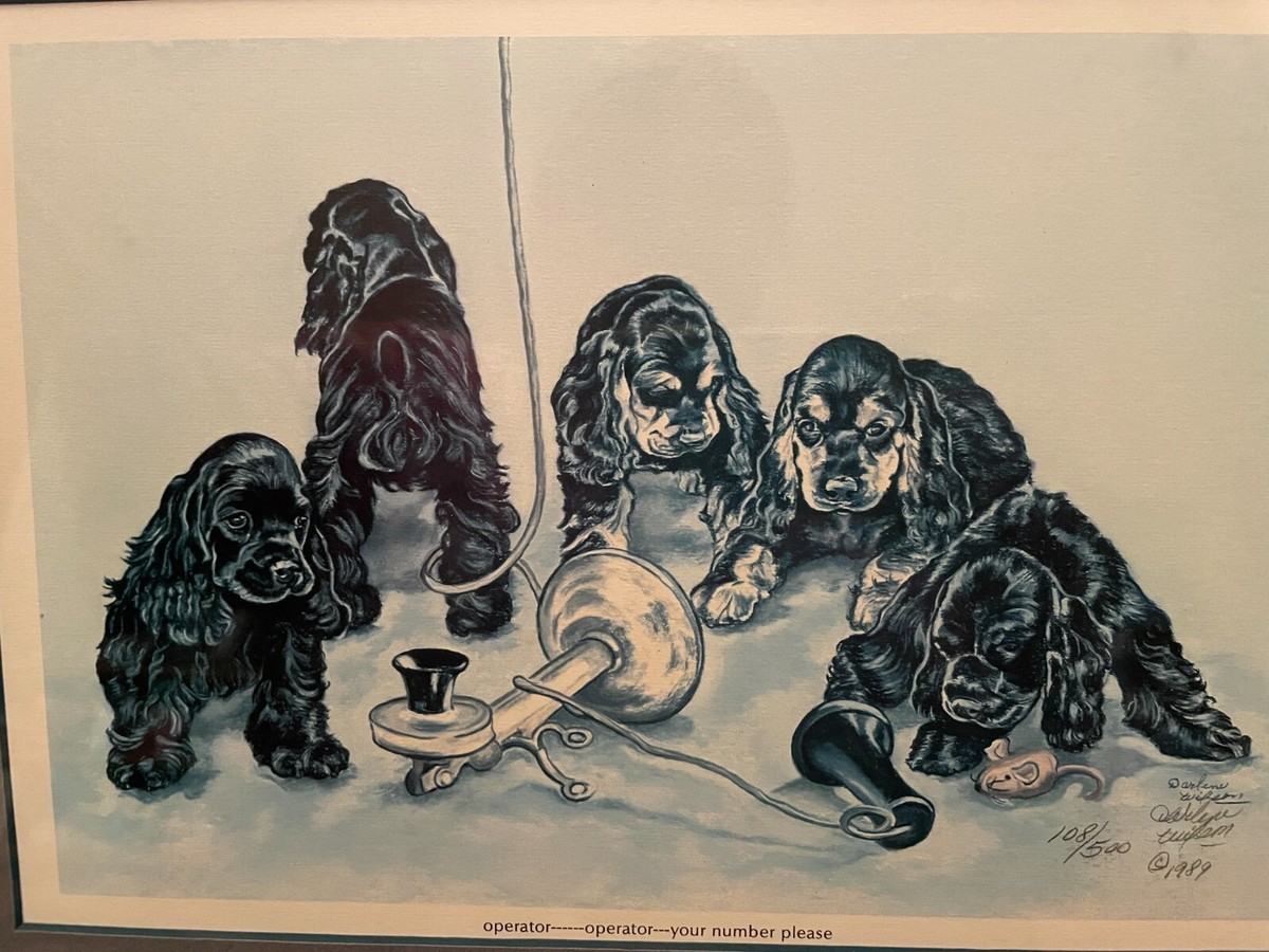 Darren Wilson 油彩画 A King is Born Darren Wilson 油彩画 A King is