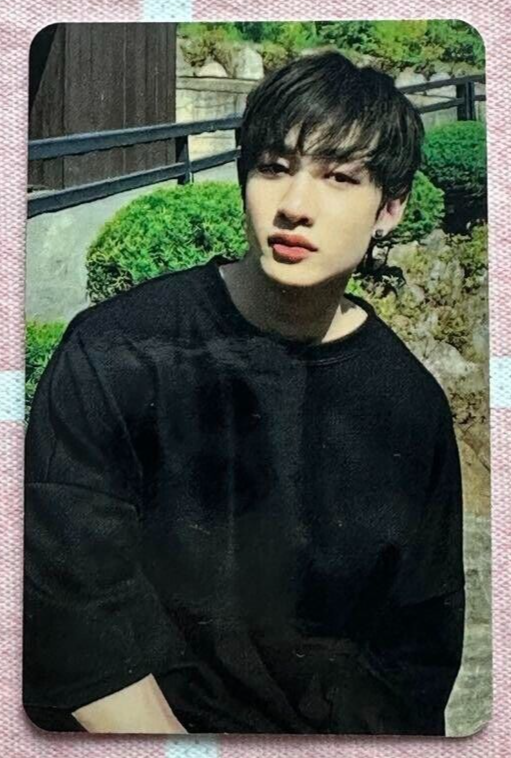 スキズ StrayKids GO生 SUBK GOLIVE バンチャン トレカ Stray Kids