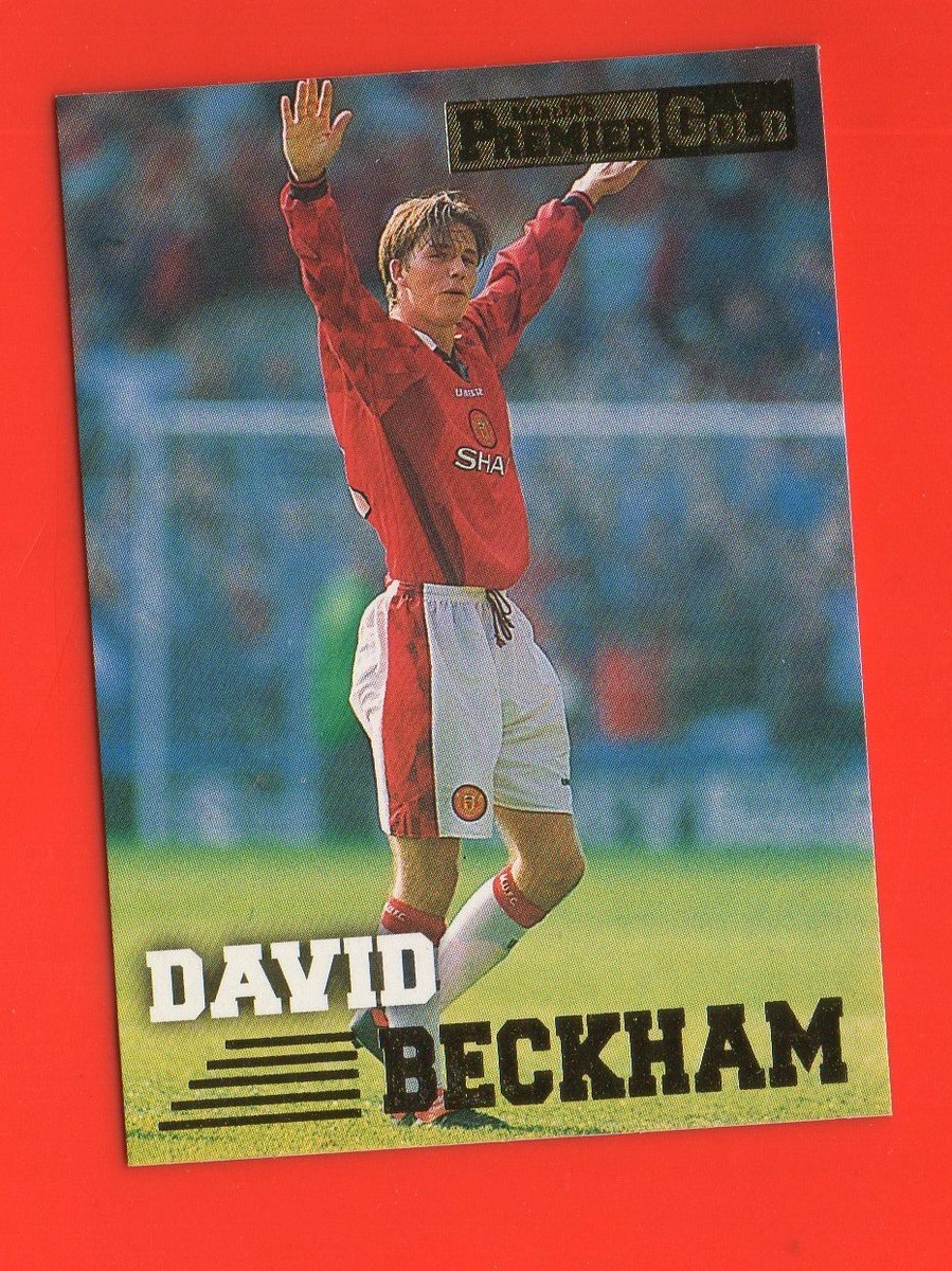 Merlin's Premier Gold Beckhamベッカム